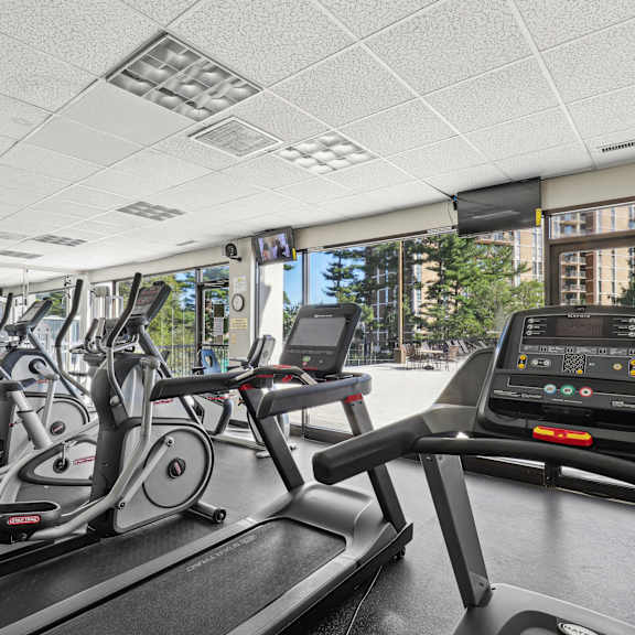 A gym with treadmills and elliptical machines.
