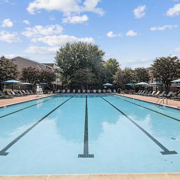 A large outdoor swimming pool with sun loungers on the side.