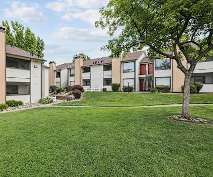 A tree stands in a grassy area in front of apartment buildings.