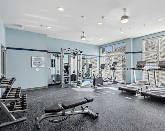 a gym with weights and other exercise equipment and windows