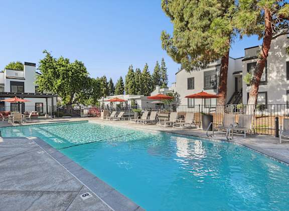 A swimming pool surrounded by trees and chairs.