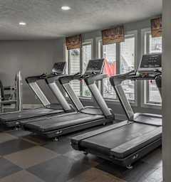 a gym with rows of treadmills on a checkered floor