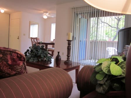 Interior View from Living Room