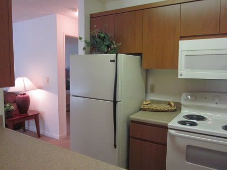 Interior View of Kitchen