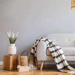 A cozy living room with a couch, a plant, and a basket.