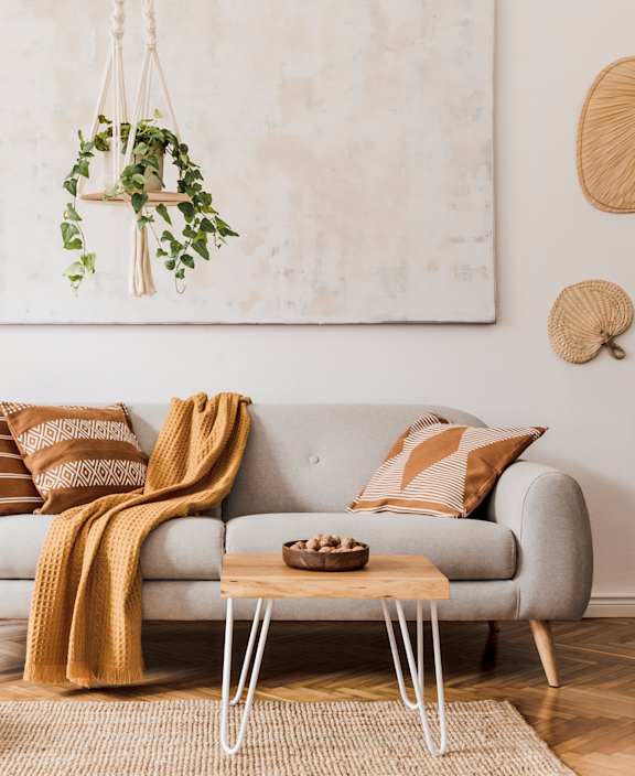 A living room with a grey couch, a wooden coffee table, and a hanging plant.