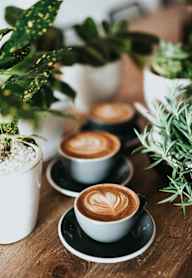 Three cups of coffee with latte art on a wooden table surrounded by green plants.
