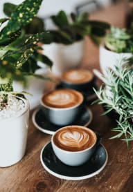 a table with four cups of coffee on it with plants in the background