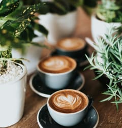 a row of coffee cups on a table with plants
