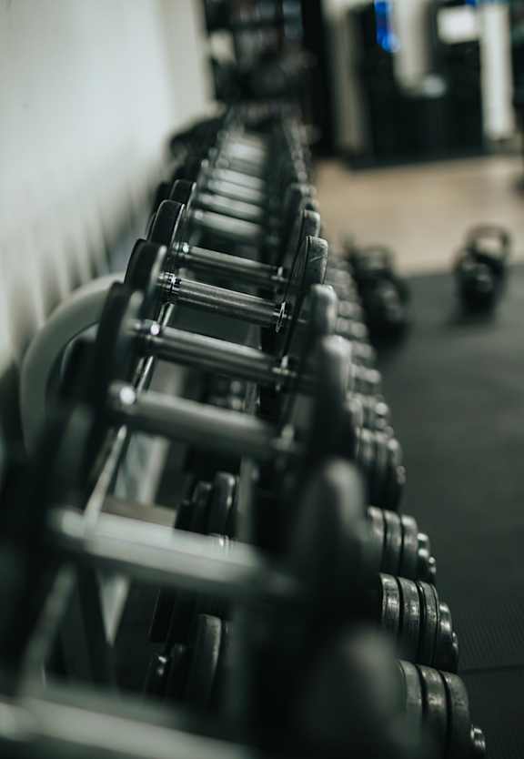 A row of dumbbells are lined up in a gym.