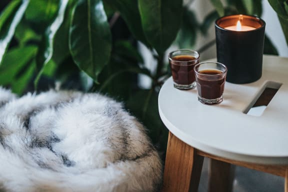 two candles on a table next to a large plant