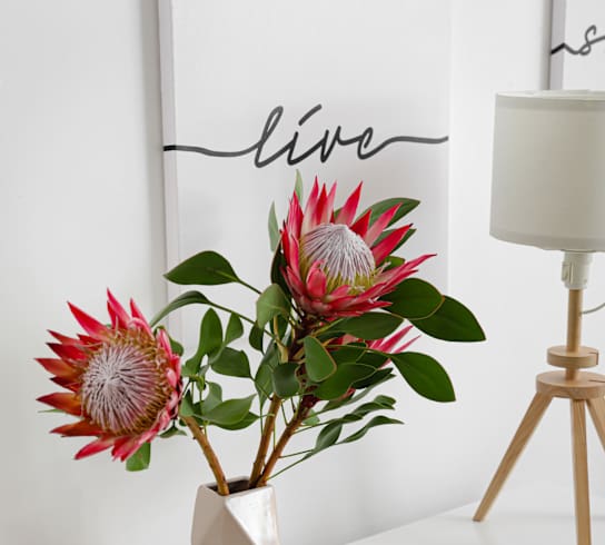 a white nightstand with a white lamp and a white vase with red protea flowers
