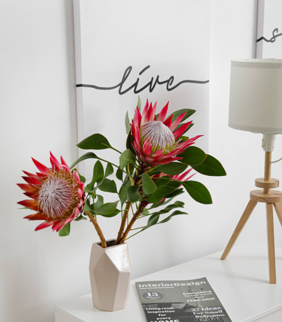 a white nightstand with a white lamp and a white vase with red protea flowers