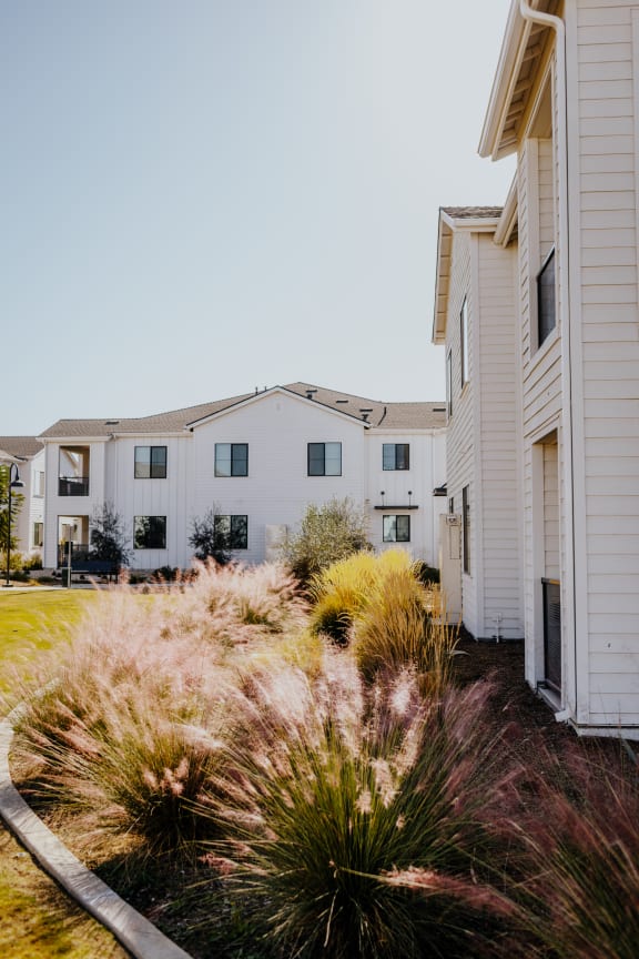 Bakersfield Apartments Park West at Stockdale River Ranch
