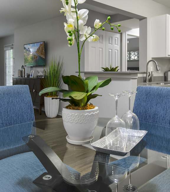 A dining room with a glass table and blue chairs.
