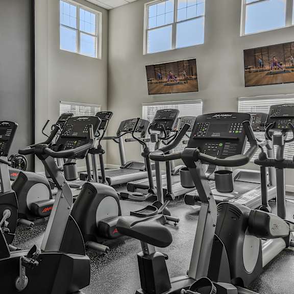 a gym with rows of exercise bikes and a wall of windows