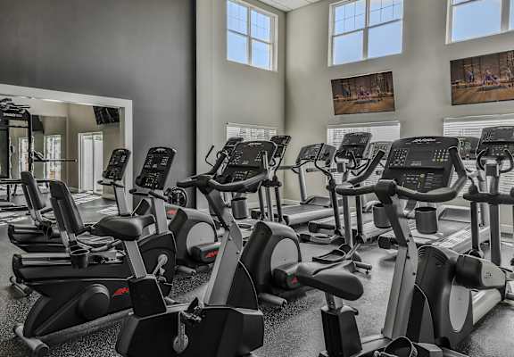 a gym with rows of exercise bikes and a wall of windows