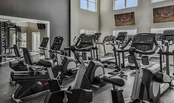 a gym with rows of exercise bikes and a wall of windows