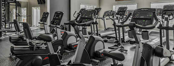a gym with rows of exercise bikes and a wall of windows