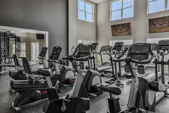 a gym with rows of exercise bikes and a wall of windows