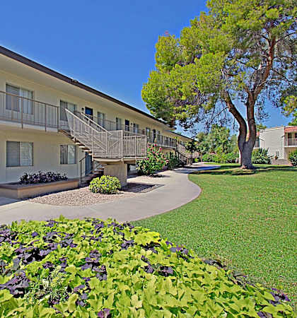 our apartments have a spacious courtyard with green grass and trees