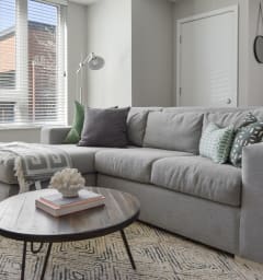 a living room with a gray couch and a coffee table at Park 205, Park Ridge, 60068