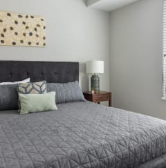 a bedroom with a large bed and a window at Park 205, Park Ridge, 60068