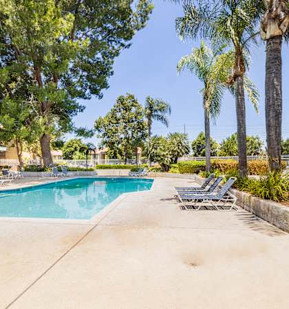 a swimming pool with chaise lounge chairs and palm trees