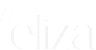 The image shows the word "the" in white on a black background and the word "eliza" in black on a white background.