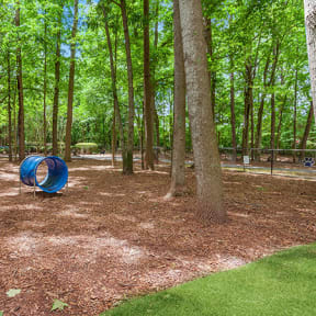 Community Dog Park with Agility Equipment at Arbor Village Apartments in Charlotte, NC-SMLAM.