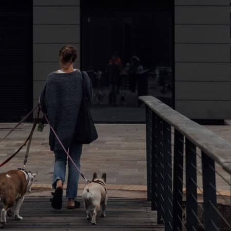 a woman walking three dogs on a bridge