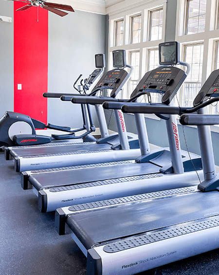 A row of treadmills are lined up in a gym.
