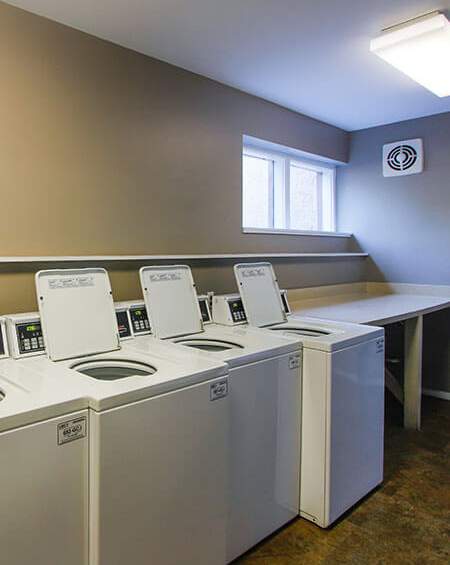 A row of washing machines are lined up in a laundromat.
