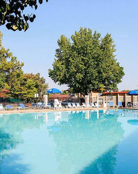 A large swimming pool with a reflection of the surrounding trees.