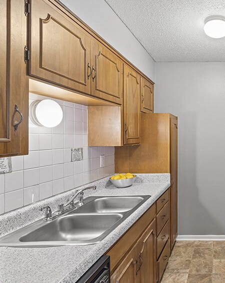 a kitchen with a sink and wooden cabinets