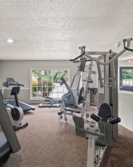 the gym has plenty of exercise equipment in it