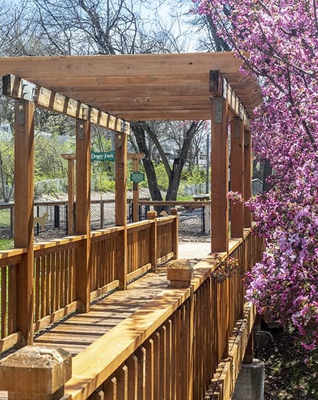 shade trees at pet friendly community