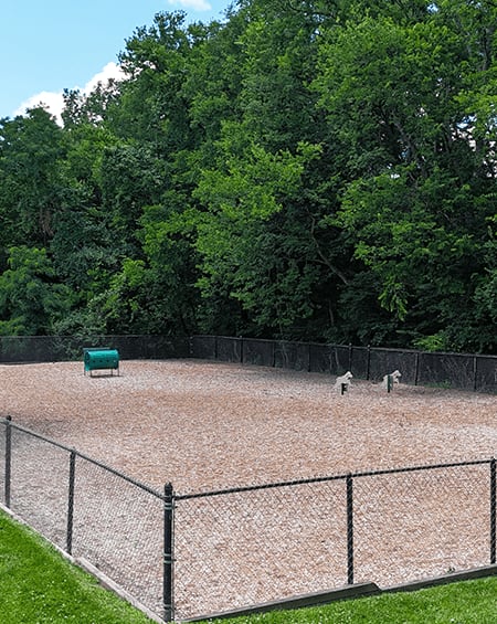 A tennis court surrounded by a fence and trees.