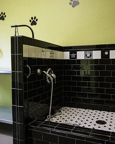 dog wash at pet friendly apartment complex