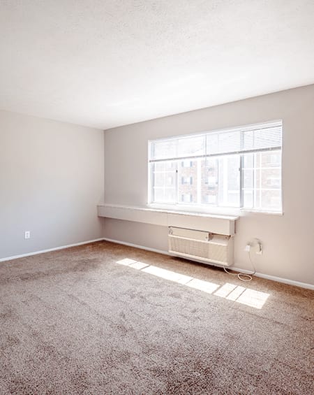 A room with a window and a carpet on the floor.