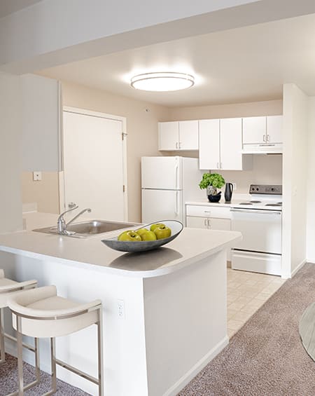 Kitchen with peninsula counter and white appliances