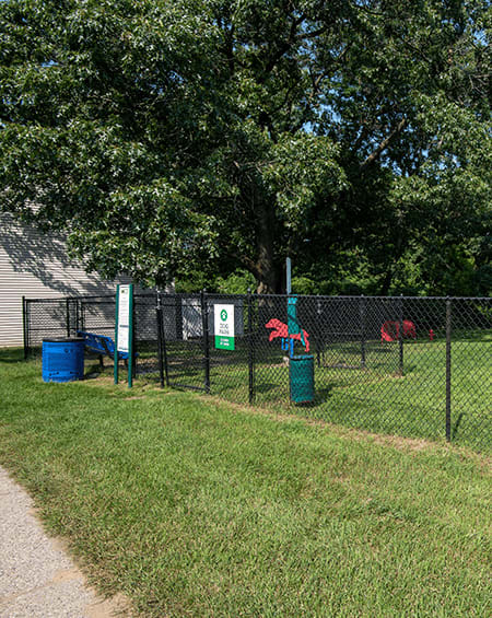 a chain link fence in front of a dog park