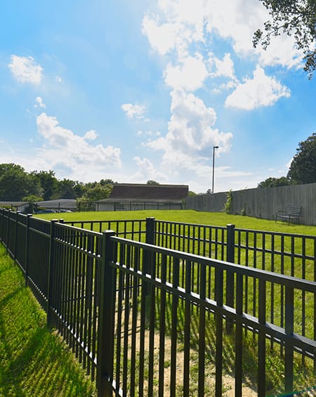 Fenced in dog park with a bench