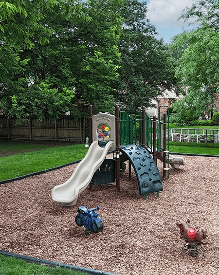 A playground with a slide, a rock climber, and a monkey bars.