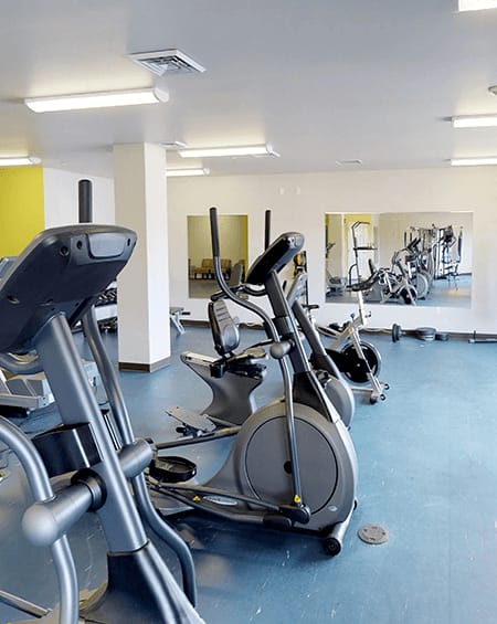 a gym with cardio equipment and weights