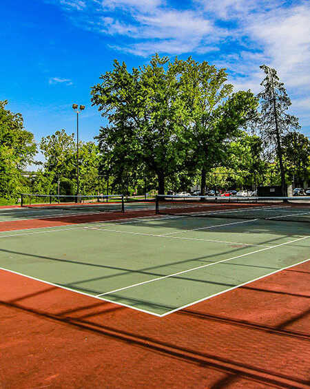 A tennis court with a net and trees in the background.