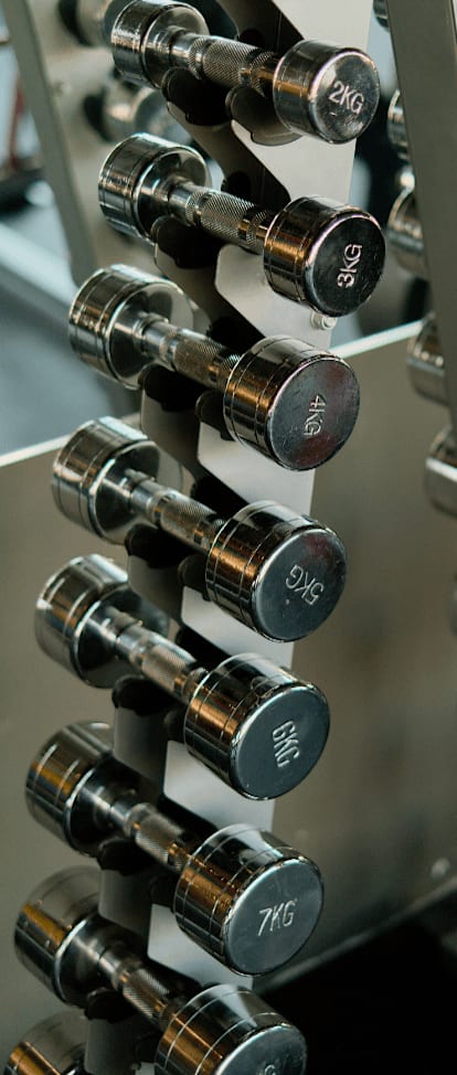 A set of dumbbells are lined up on a rack.