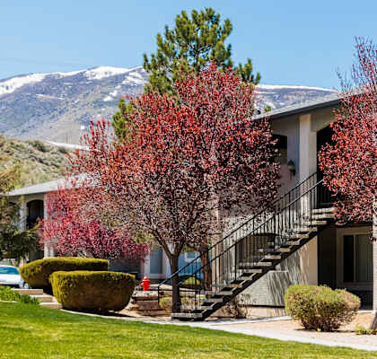 a white building with trees and mountains in the background