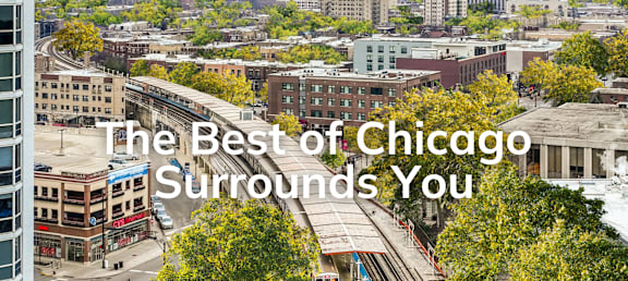 the best surrounds you with a view of a train