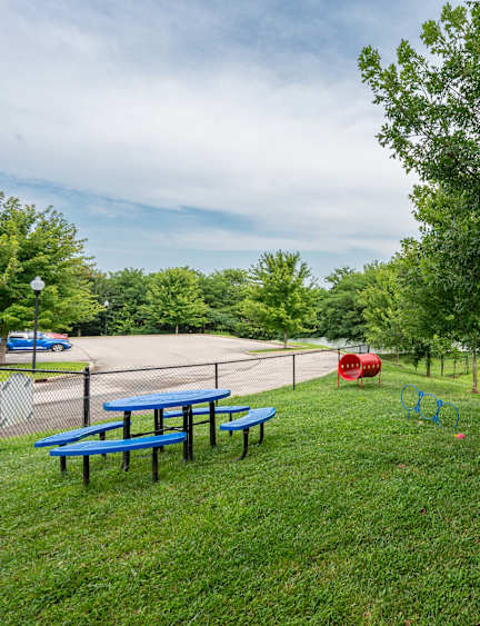 a park with a picnic table and a tree